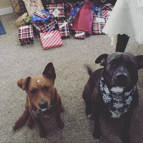 Meet Your Posher Nicole - Picture 2 of 2